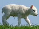 Weekend Texel hotel 3 dagen